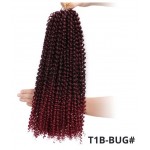 Codite de par Afro Passion Twist Crochet Braids de 45 cm Cod: Tbug Burgundy Ombre